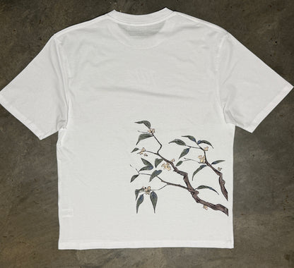 TUJZ Min Leaf